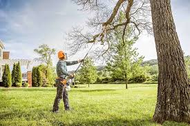 Lawn Maintenance Plans in Colwyn, PA